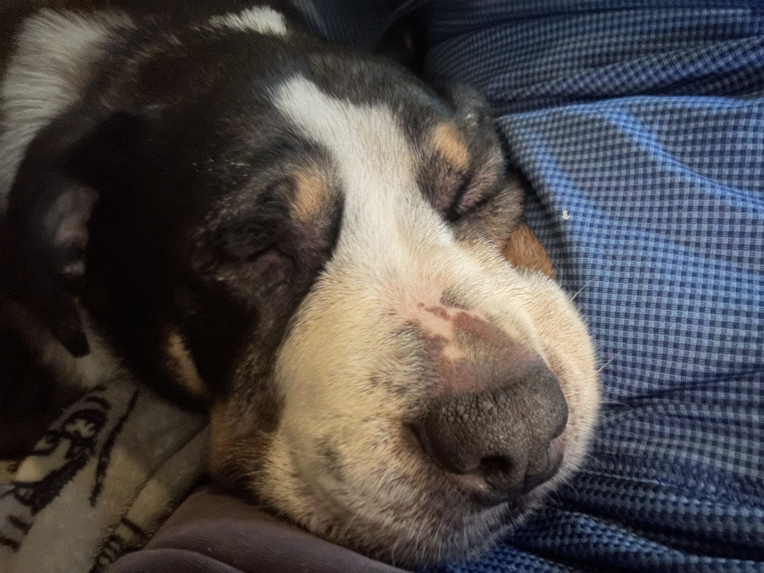 The quieter cost — rest, the back-half of a good week