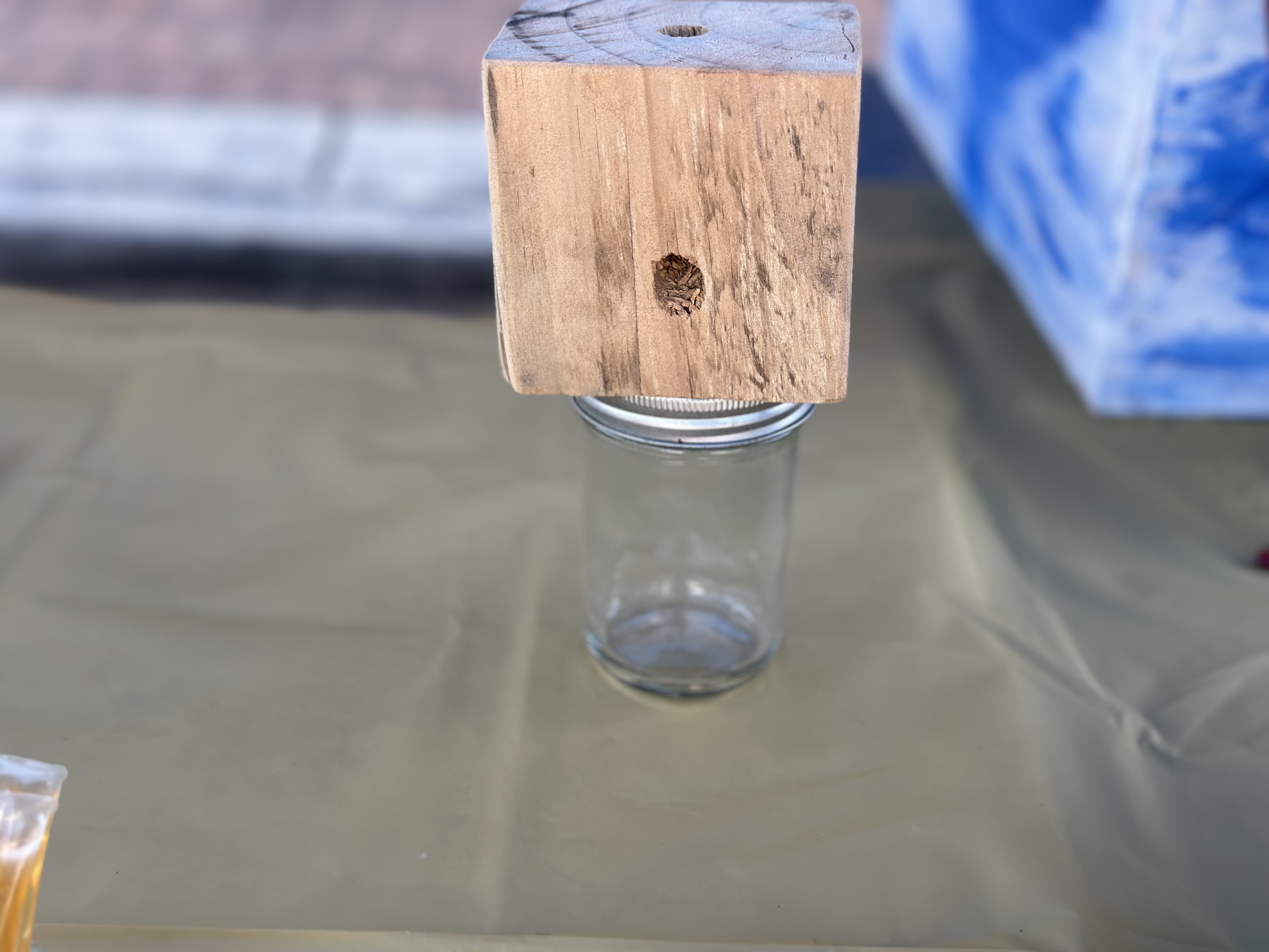 PSP Carpenter Bee Trap