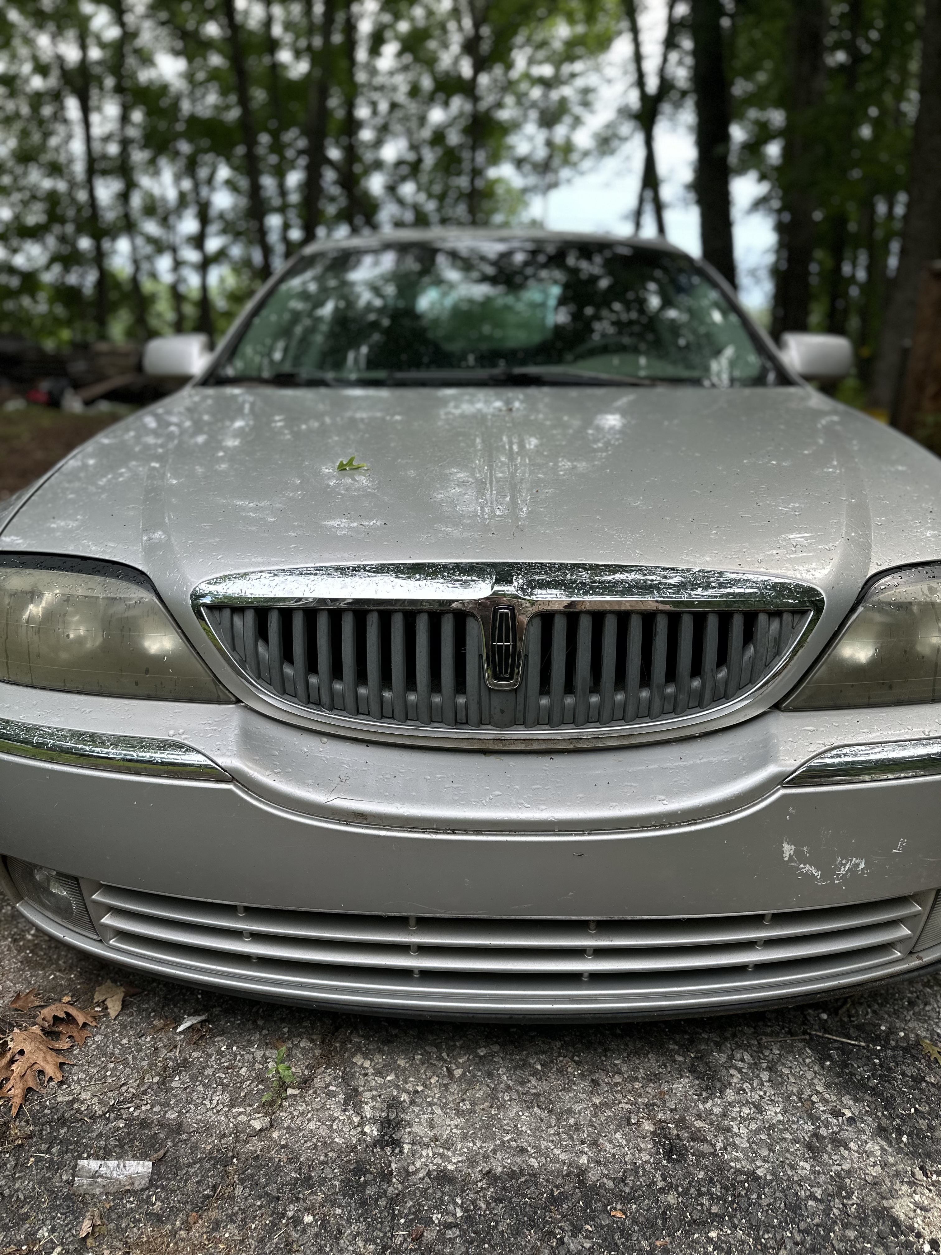 Sally before — pollen and pine debris after three years in the drive.