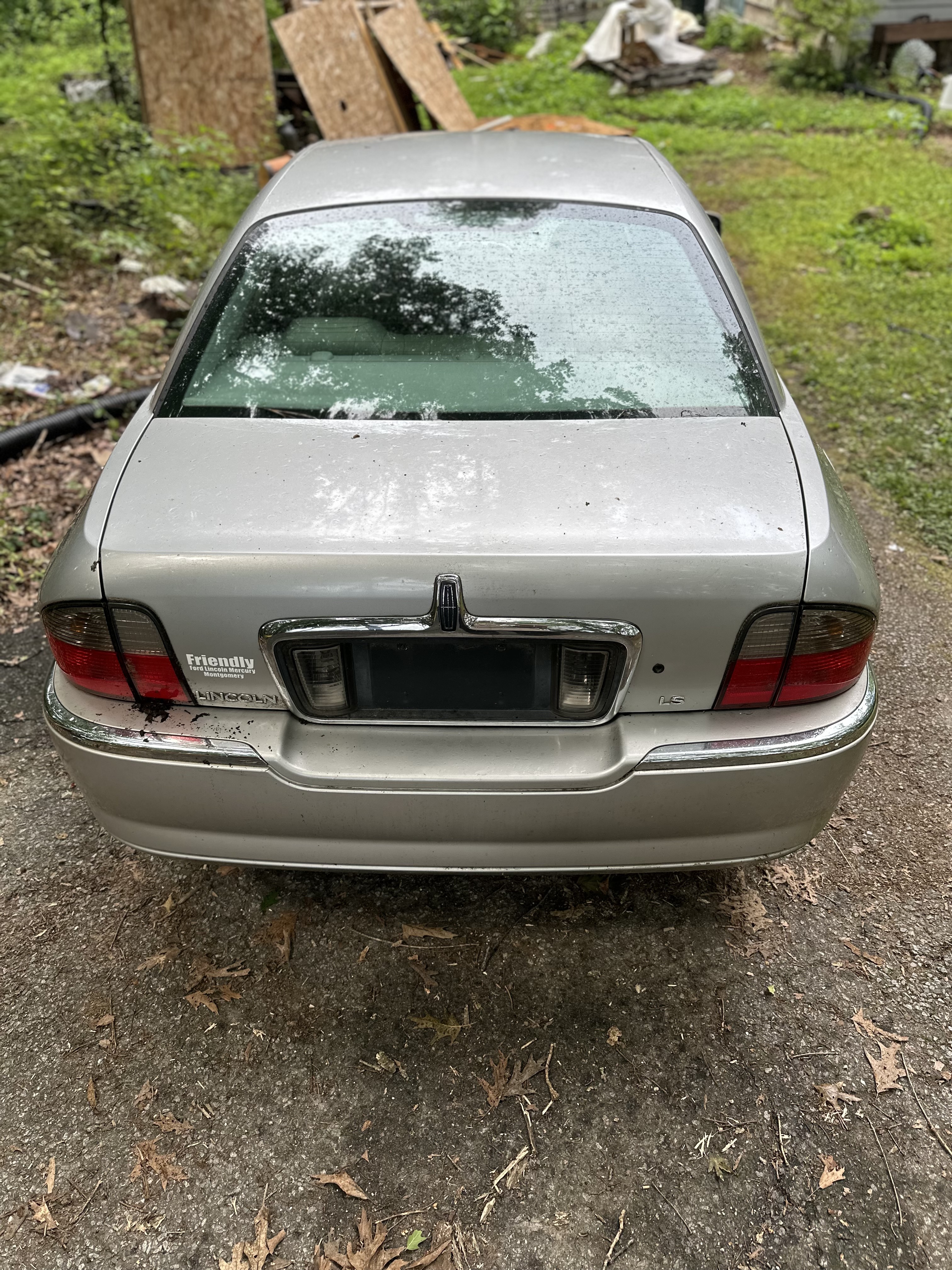 Sally before — grime and pollen on the trunk lid.