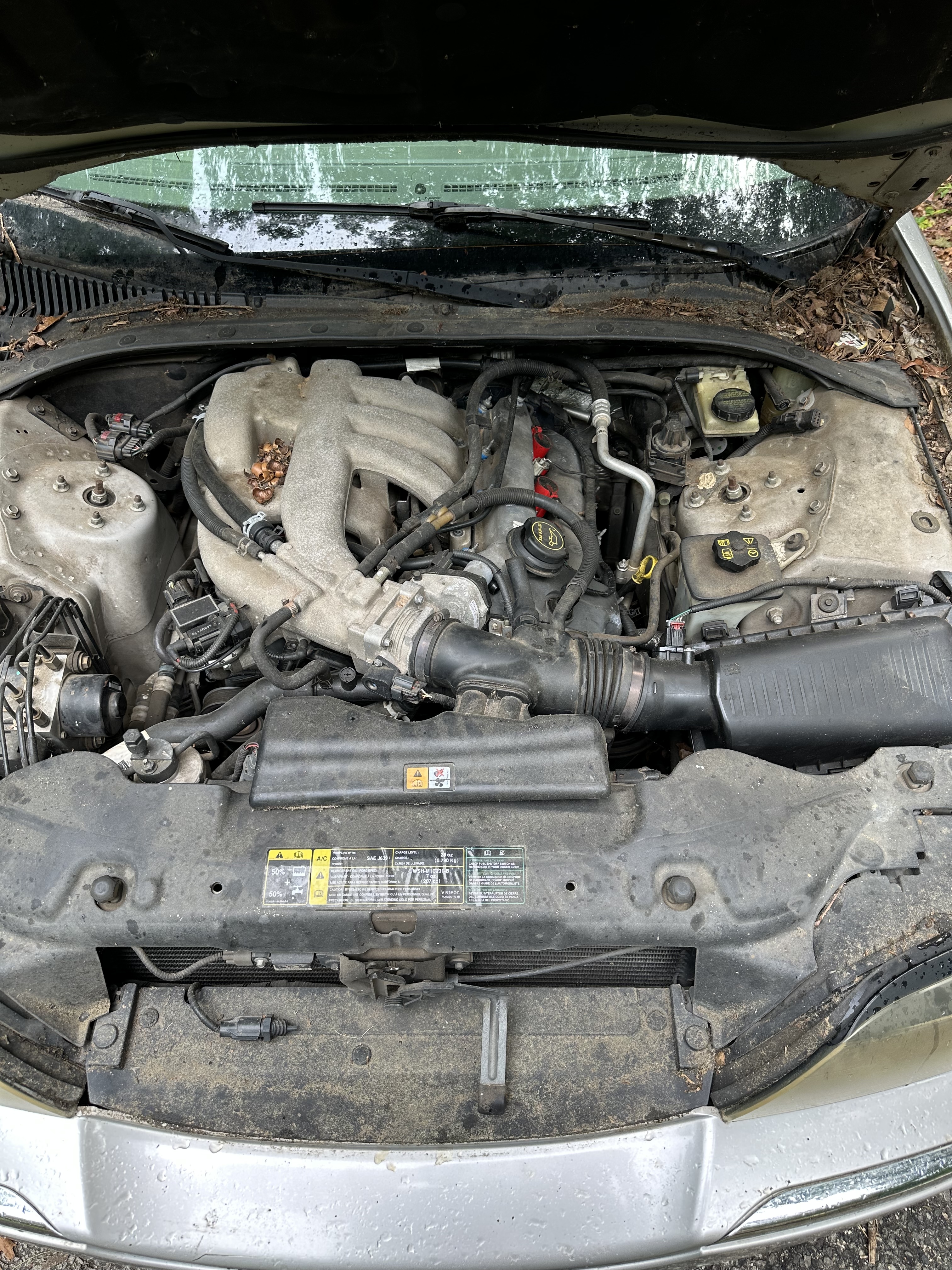 Engine bay — worn, honest, and being sorted.